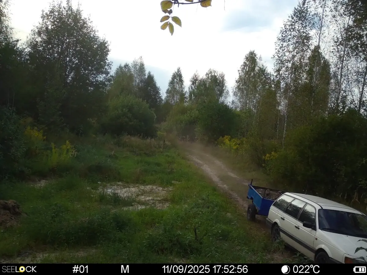 В Бобруйском районе фотоловушка помогла наказать нарушителя