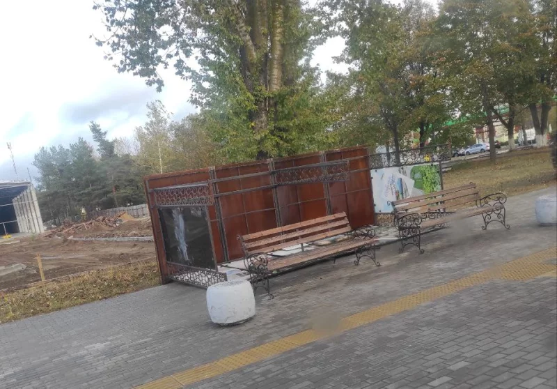 В Бобруйске и районе подсчитывают ущерб от штормового ветра