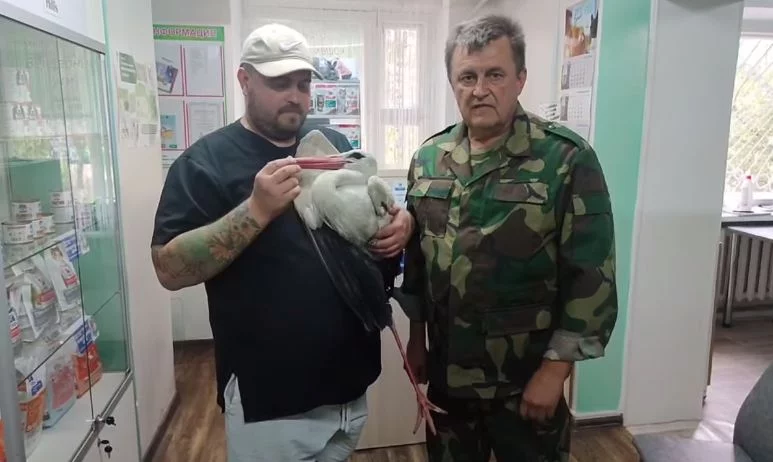 В Бобруйском районе спасли аиста