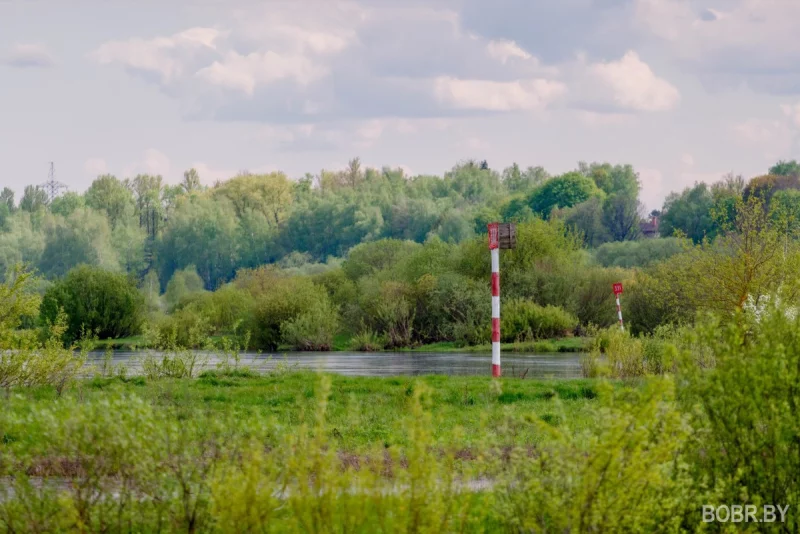 Приостановлено купание детей и взрослых в Бобруйске