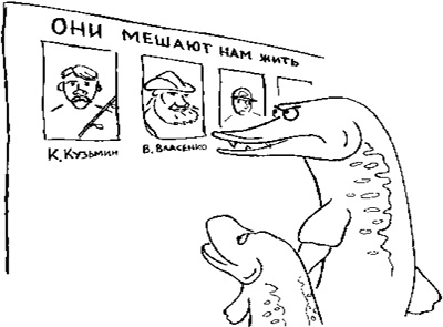 Уха с капутой