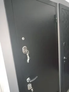 Дверь Входная 750р00