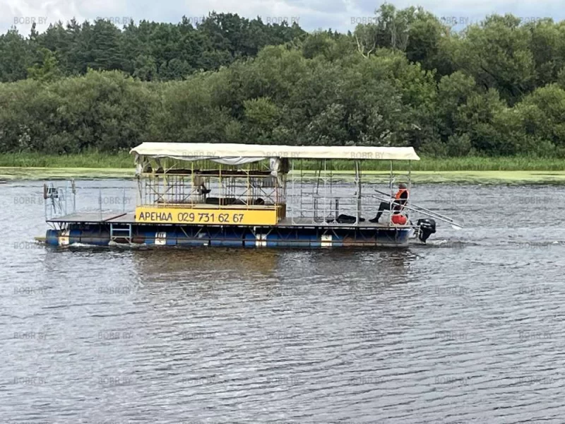 Приглашают на прогулку