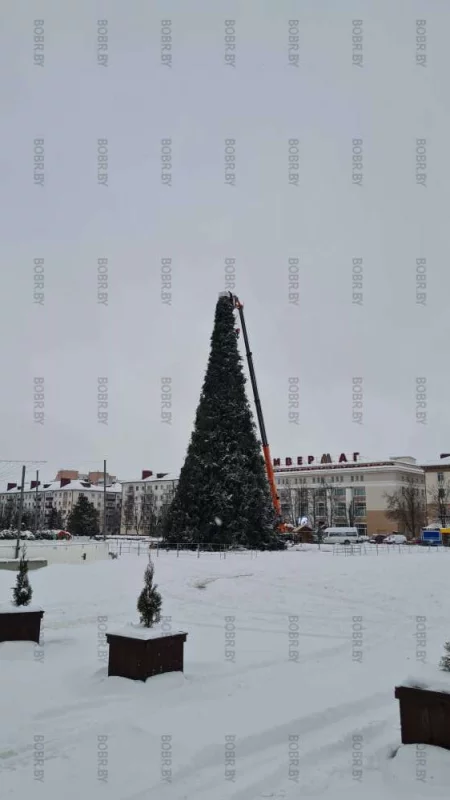  На елочке поправляют звезду которая висела криво