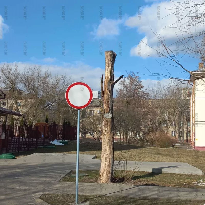 Зеленхоз , доволен?