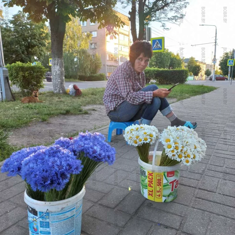 Цветы для дам