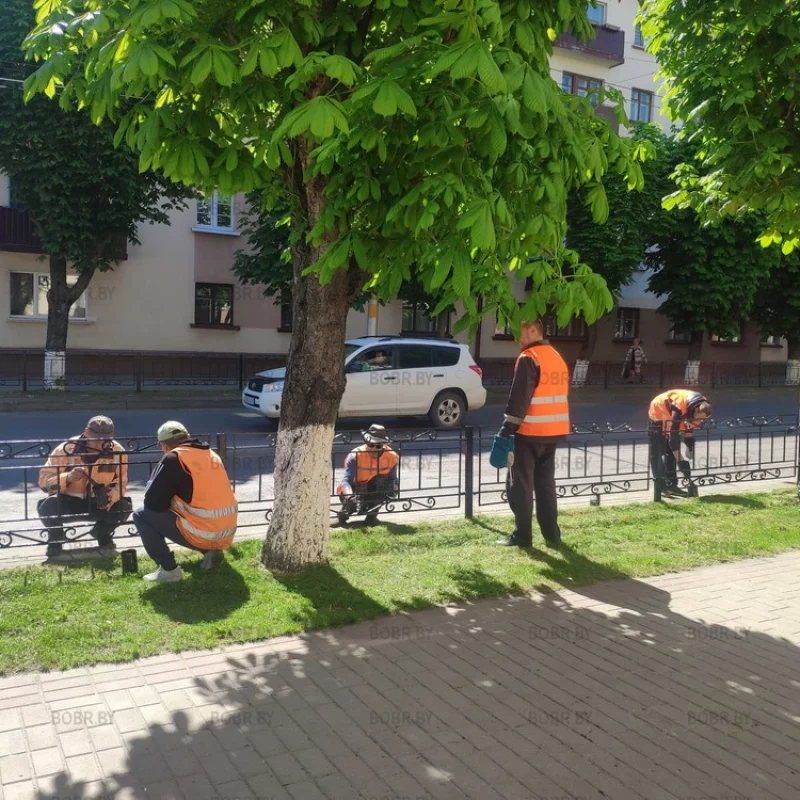 Покраска изгороди на улице советской, ещё одной проблемой в городе меньше!