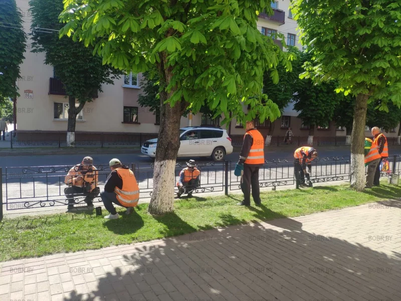 Покраска изгороди на улице советской, ещё одной проблемой в городе меньше!