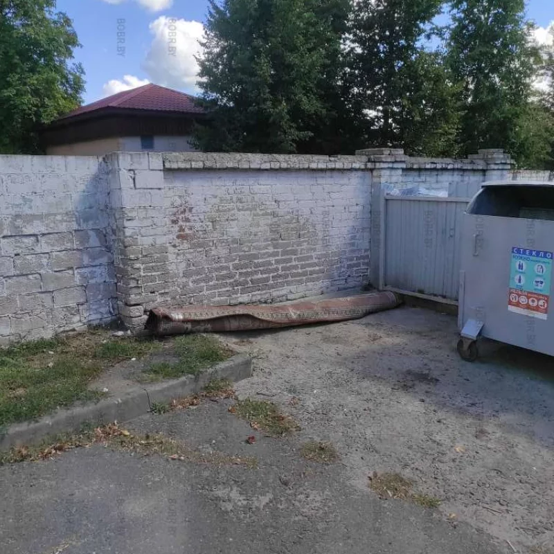 Продолжение рейда по мусоркам, здесь мусорку напротив горисполкома вообще ковёр выбросили!