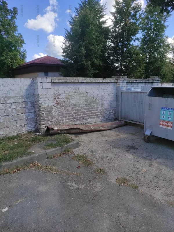 Продолжение рейда по мусоркам, здесь мусорку напротив горисполкома вообще ковёр выбросили!