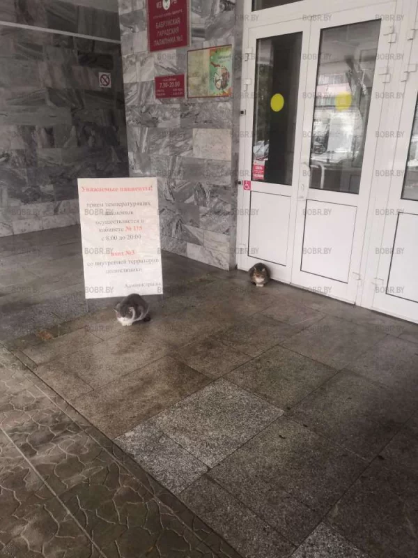 Охранники поликлиники 