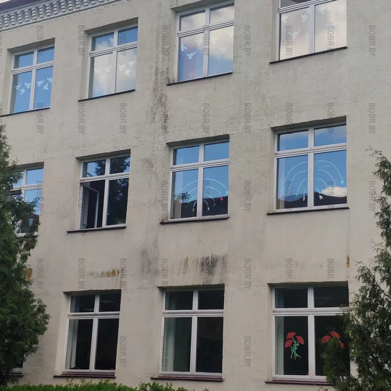 Фасад 27 школы повреждён грибком и чёрной плесенью, выглядит крайне неэстетично.