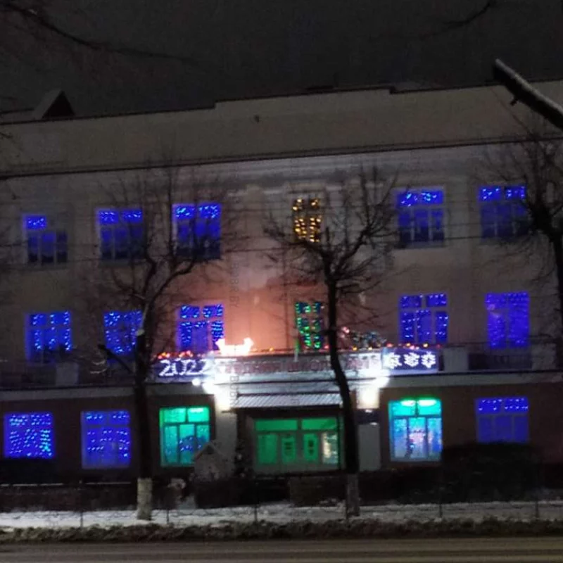 Джунгли в окне