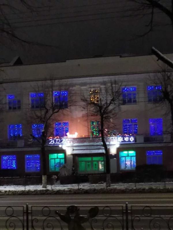 Джунгли в окне