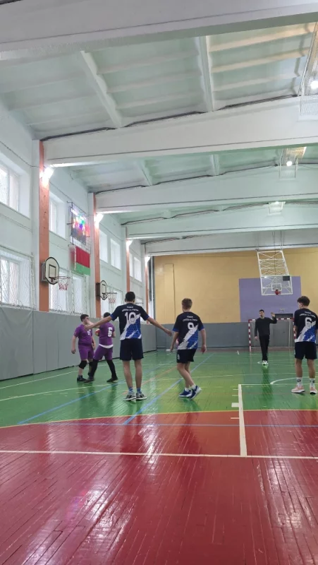 Чемпионат по гандболу. Бобруйск проигрывает ????