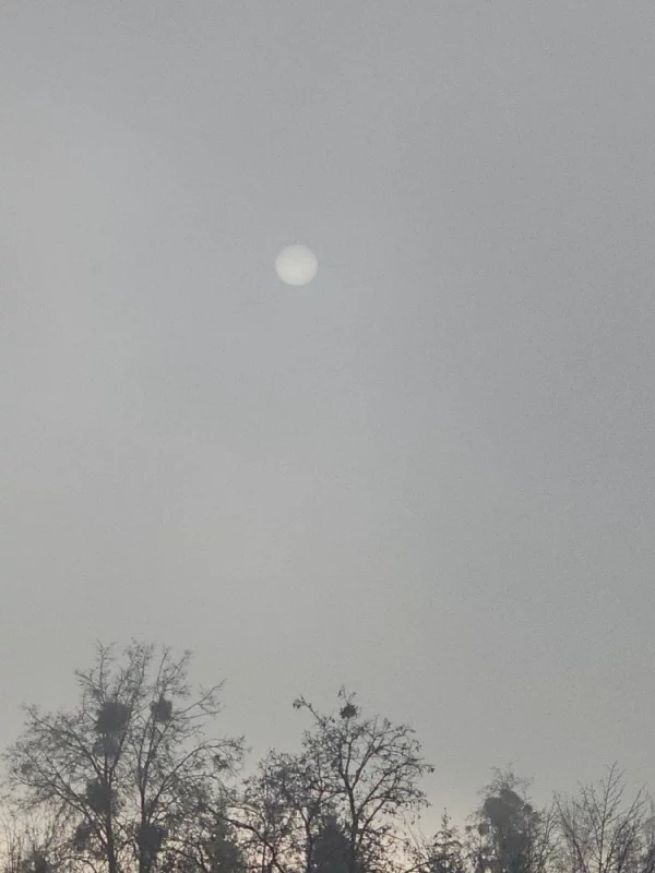 Зимнее солнце в Бобруйске