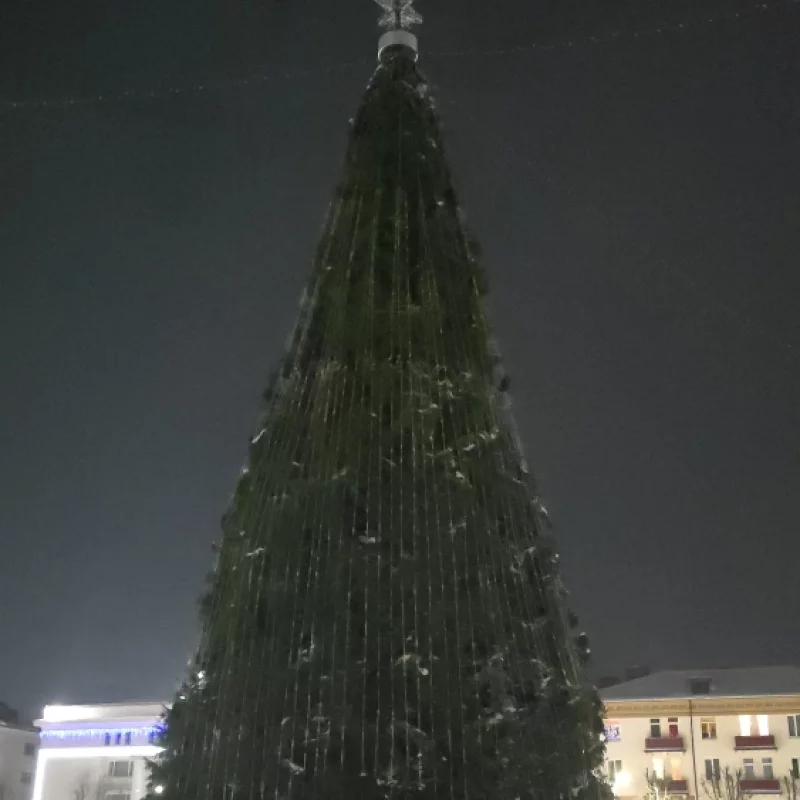 Последний шанс полюбоваться ёлочкой