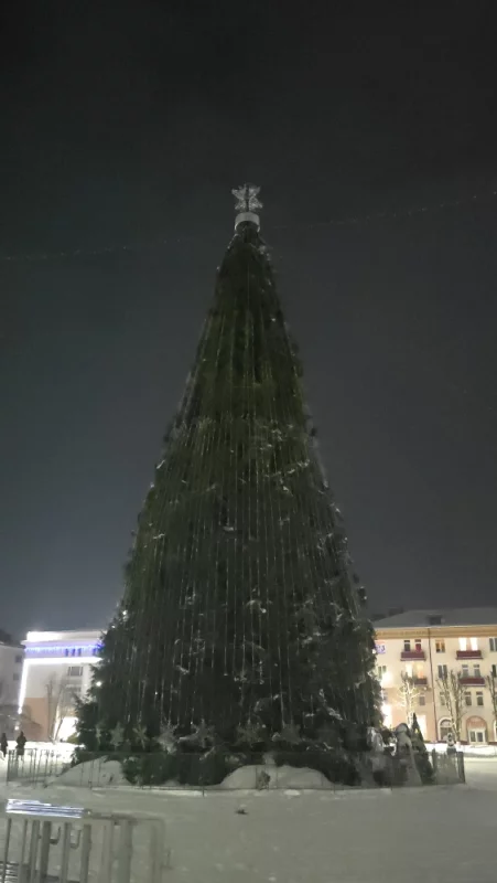 Последний шанс полюбоваться ёлочкой