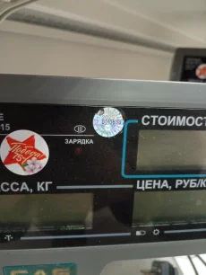 Весы торговые CAS ER 15 до 15 кг. рабочие, поверенные в 2025 г