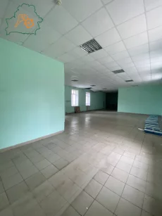 Помещение по ул. Пушкина