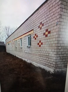 Дом в д. Василевка