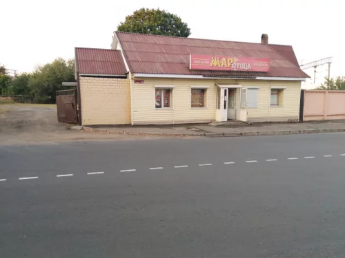 Комплекс зданий магазина с большой территорией по ул К. Маркса 220