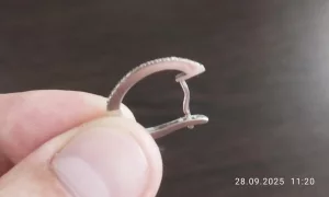 Утеряна сережка