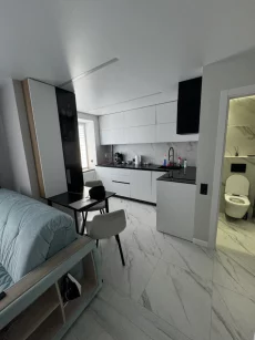 1 комнатную квартиру в центре