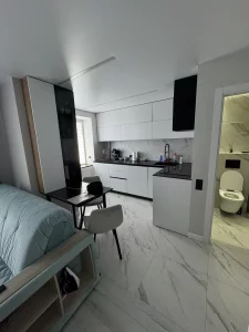 1 комнатную квартиру в центре