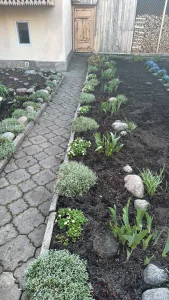 Цветы многолетние