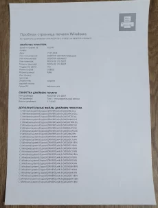 Лазерный принтер Ricon