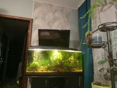 Аквариум 200л