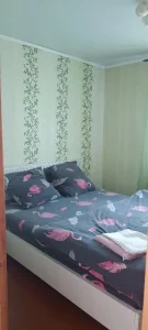 Посуточно двухкомнатная квартира в центре