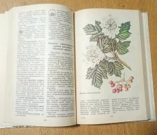 Книга дары природы