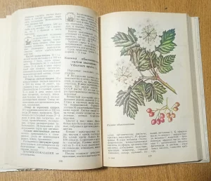 Книга дары природы