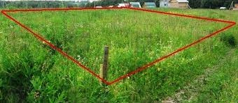 Межевание земельного участка: Что это такое?