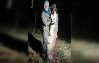«Такое бывает раз в жизни». Бобруйчанин поймал на Березине сома весом в 37,5 кг. ВИДЕО