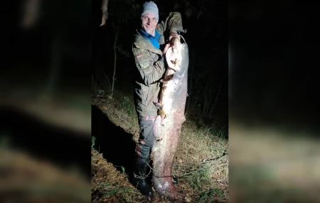 «Такое бывает раз в жизни». Бобруйчанин поймал на Березине сома весом в 37,5 кг. ВИДЕО