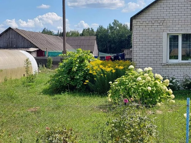 В Беларуси ужесточают требования к благоустройству