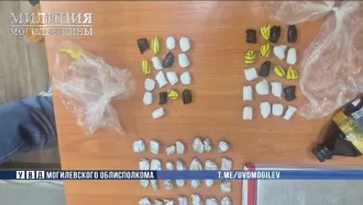 Бобруйское УВД пресекло крупную закладку в Могилеве
