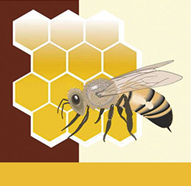 Дикий мед. Ресторан