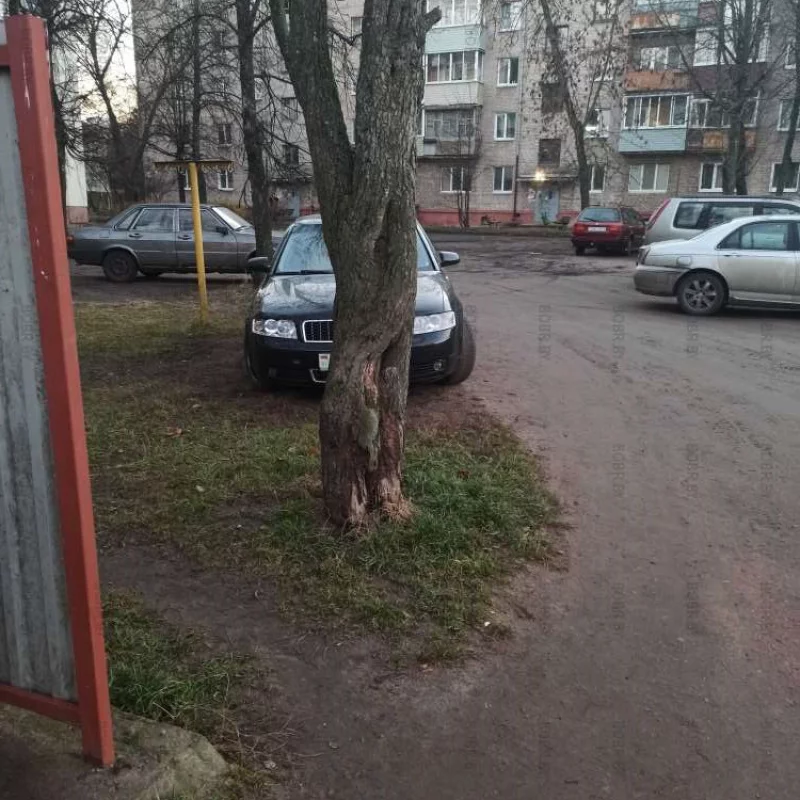 Кто это тут такое спрятался?