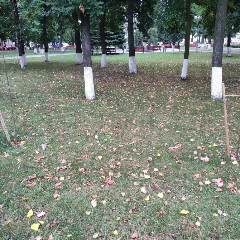 На Бобруйск, надвигается осень...