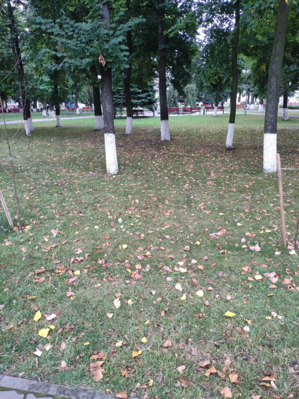 На Бобруйск, надвигается осень...