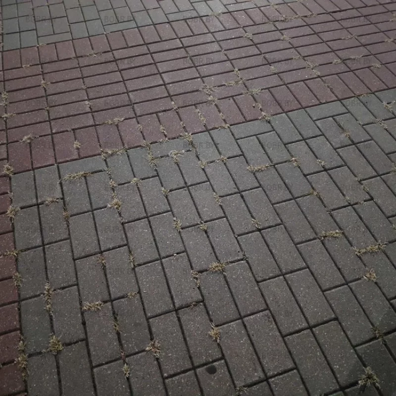 Поросло травой место наших встреч. Неужели на центральной площади города Бобруйска, площади Ленина нельзя навести порядок?