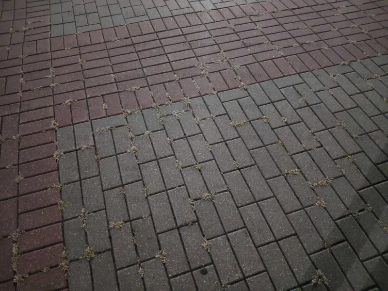 Поросло травой место наших встреч. Неужели на центральной площади города Бобруйска, площади Ленина нельзя навести порядок?