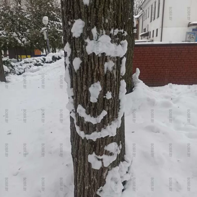 Дети радуются зиме 
