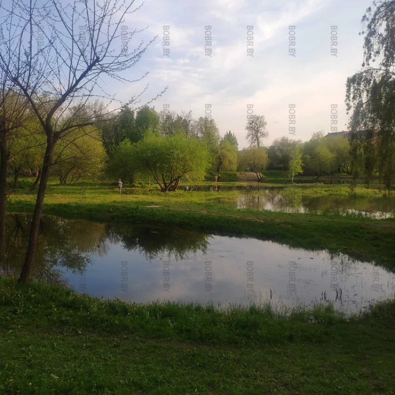 Бобруйский городской парк. Озёра.