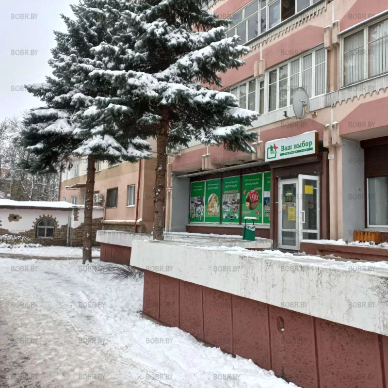 А зеленхоз согласовал эту вандальную обрезку???