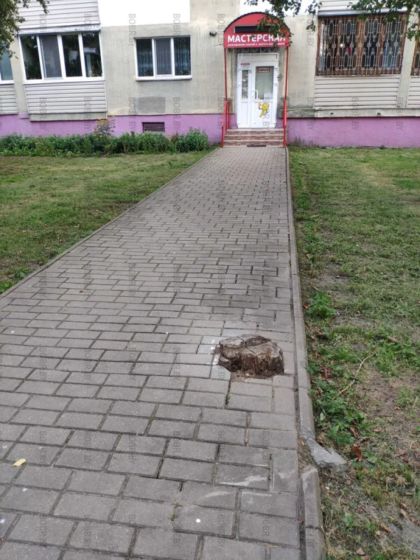 Убрать пень и положить четыре плитки Это около часа работы. 
